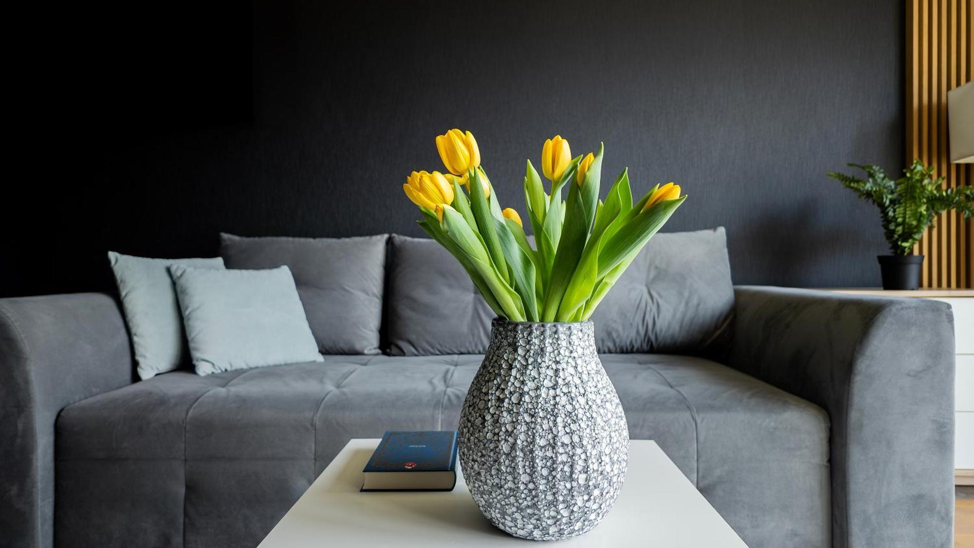 Easy Rent Apartments- Amber 10 Lublin