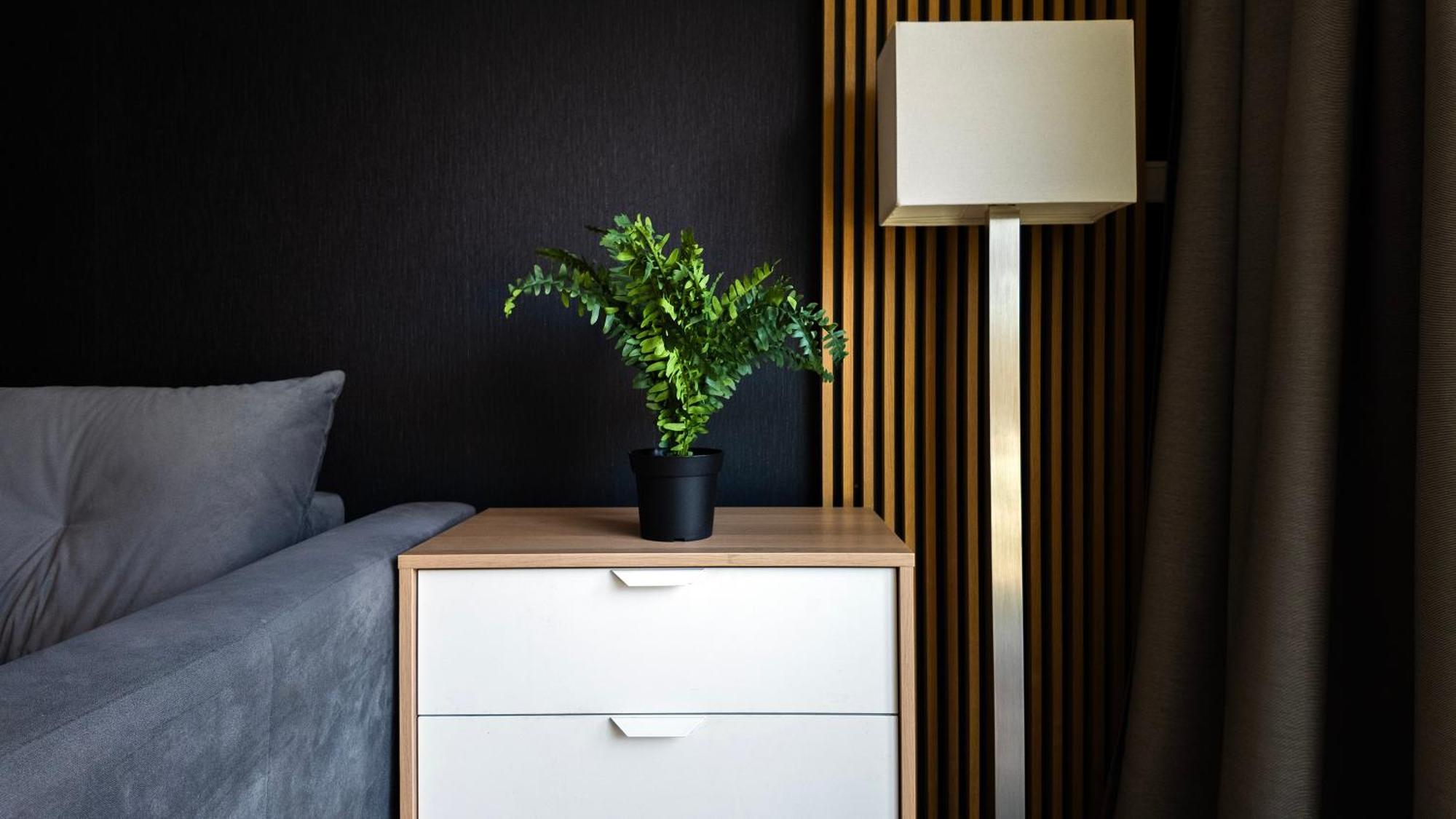 Easy Rent Apartments- Amber 10 Apartment *