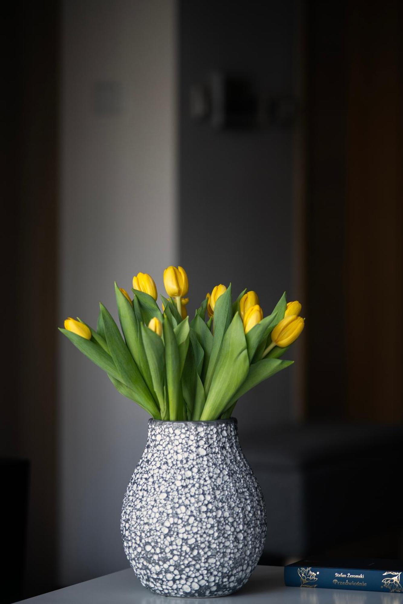 Apartment Easy Rent Apartments- Amber 10 Lublin